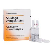 Солидаго композитум с 2.2мл р-р д/ин.в/м.гомеоп. №5 амп. (БИОЛОГИШЕ ХАЙЛЬМИТТЕЛЬ ХЕЕЛЬ)