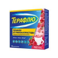Терафлю пор.д/р-ра д/пр.внутр. №10 пак.  лесн.ягоды (ГЛАКСО)