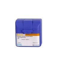 Сталораль аллерген пыльцы березы 10мл капли сублингв. №2 фл.  поддержив. курс (СТАЛЛЕРЖЕН)