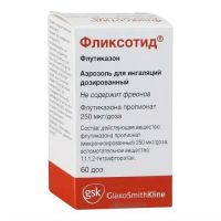 Фликсотид 250мкг/доза 60доз аэр.д/инг. №1 ингалятор доз. (ГЛАКСО)