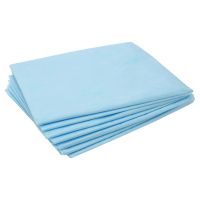 Простыня sms №20 200*80 голуб. пл 14 (СПАНПРО)