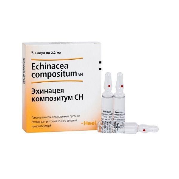 Эхинацея композитум сн 2.2мл р-р д/ин.в/м.гомеоп. №5 амп. (Biologische heilmittel heel gmbh_2)