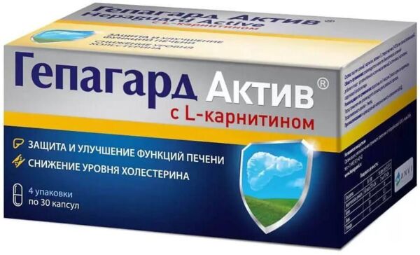 Гепагард актив 360мг капс. №120 (Биос нпф ооо)