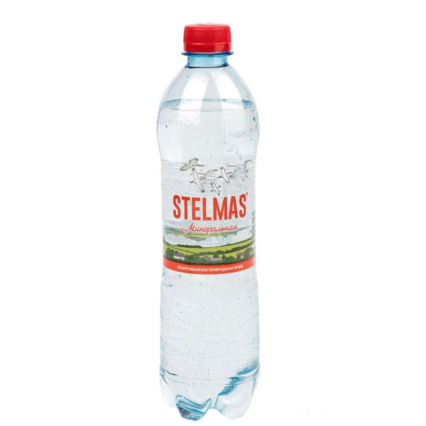Вода питьевая стэлмас 0,6л бут.полим.  цинк селен негаз. (Воды здоровья ооо)