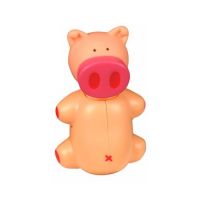 Мирадент футляр-держатель + зубная щетка пигги (ХАГЕР ЭНД ВЕРКЕН)