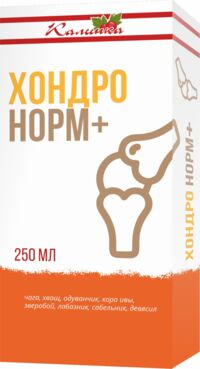 Калинка бальзам хондронорм+ 250мл (ГРИН САЙД ООО_2)