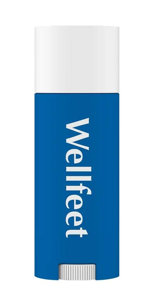 Веллфит карандаш защитный от появления мозолей 4,5г (Галант-косметик ооо)