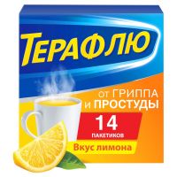Терафлю 22,1г порошок для раствора для приёма внутрь №14 пакетики лимон (DELPHARM ORLEANS)