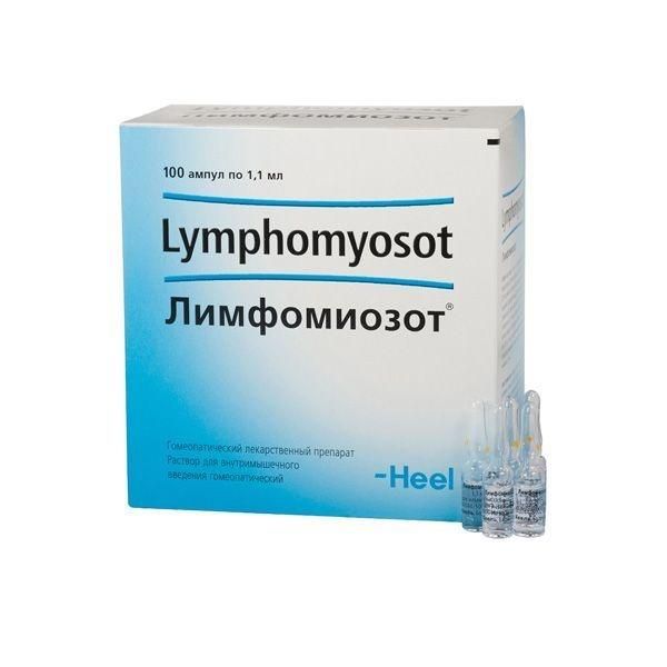 Лимфомиозот 1,1мл р-р д/ин.в/м.гомеоп. №100 амп. (Biologische heilmittel heel gmbh)