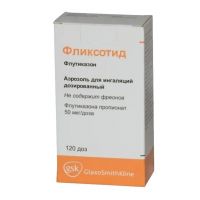 Фликсотид 50мкг/доза 120доз аэр.д/инг. №1 ингалятор доз. (ГЛАКСО)