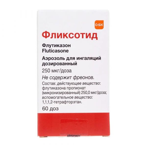 Фликсотид 250мкг/доза 60доз аэр.д/инг. №1 ингалятор доз. (Glaxo wellcome s.a.)