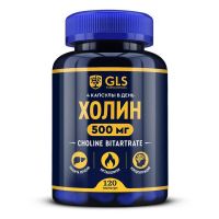 Gls холин капс. №120 (ДЖИ ЭЛ ЭС ФАРМАСЬЮТИКАЛС)
