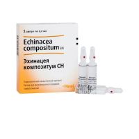 Эхинацея композитум сн 2.2мл р-р д/ин.в/м.гомеоп. №5 амп. (БИОЛОГИШЕ ХАЙЛЬМИТТЕЛЬ ХЕЕЛЬ)