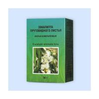 Эвкалипта лист 50г №1 пач. (ФИТО-БОТ)